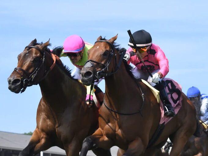 Mi Bago (right) and Zulu Kingdom hit the wire together in the 2026 Kelso S. (G3) - NYRA photo