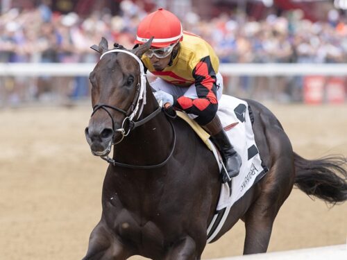 Booked is Yaupon's newest stakes winner in the 2026 Sanford (G2) - Sarah Andrew/NYRA