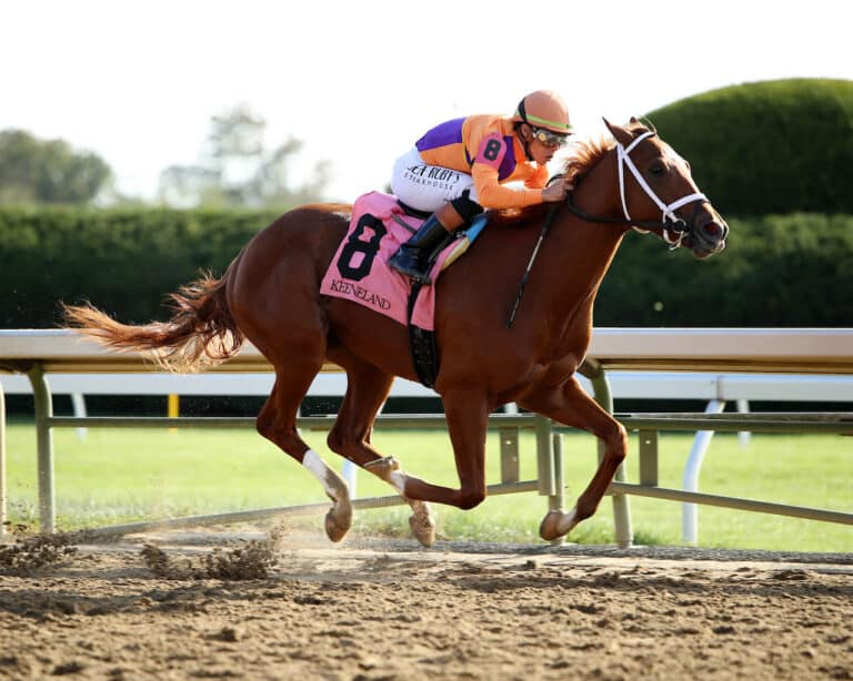 Further Ado breaks his maiden by 20 lengths | Coady Photo