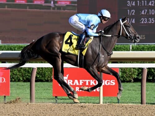 Iron Orchard dominates the Aug. 21 Fleet Indian S. at Saratoga - NYRA photo