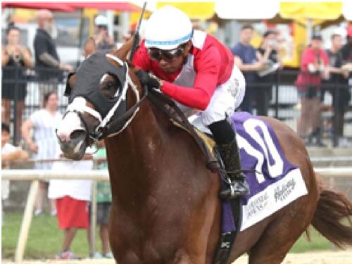 Verifire gets his second career stakes win in the Reigh Count S. at Colonial Downs - Coady Media