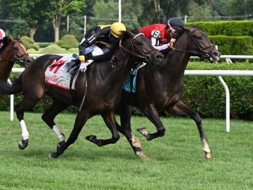 Let Em Know (#9) holds off Roscoe Goose for his maiden win - NYRA photo