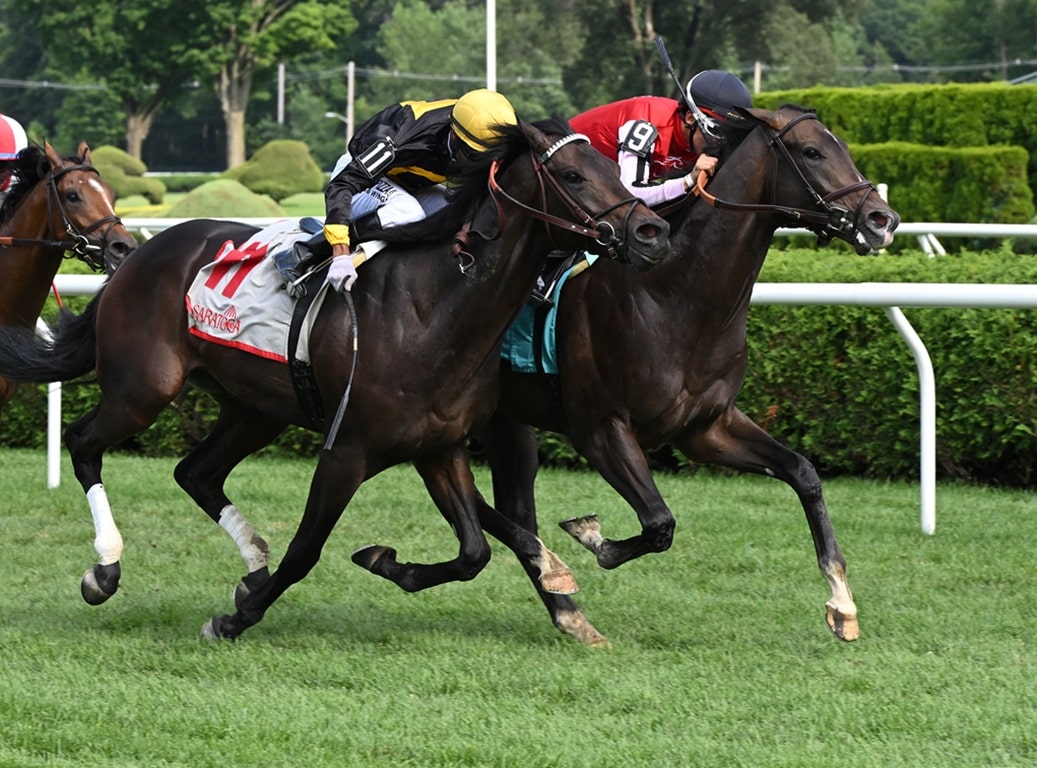 Let Em Know (#9) holds off Roscoe Goose for his maiden win - NYRA photo