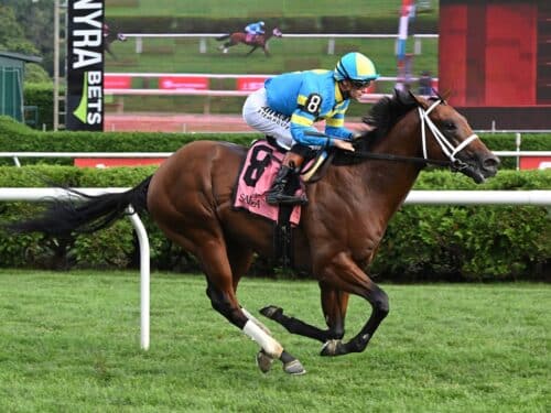 Wood Island coasts to victory in Skidmore S. at Saratoga - NYRA photo