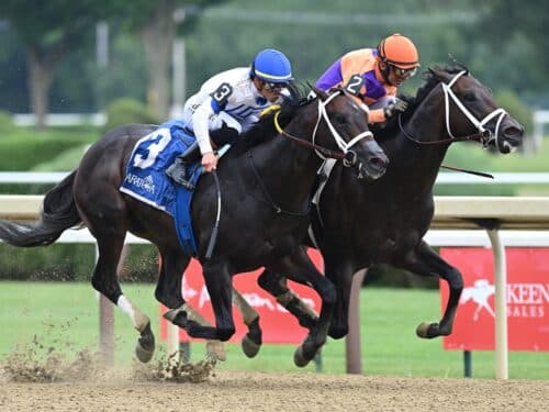 Local Knowledge (inside) edges out Solitude Dude (#3) in the G2 Amsterdam S. - NYRA photo