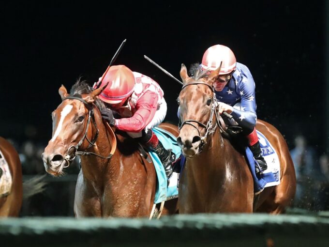 Niche (at right) out-duels At a Premium to win the Charles Town Oaks (G2) on Aug. 28, 2006 - Coady Media photo