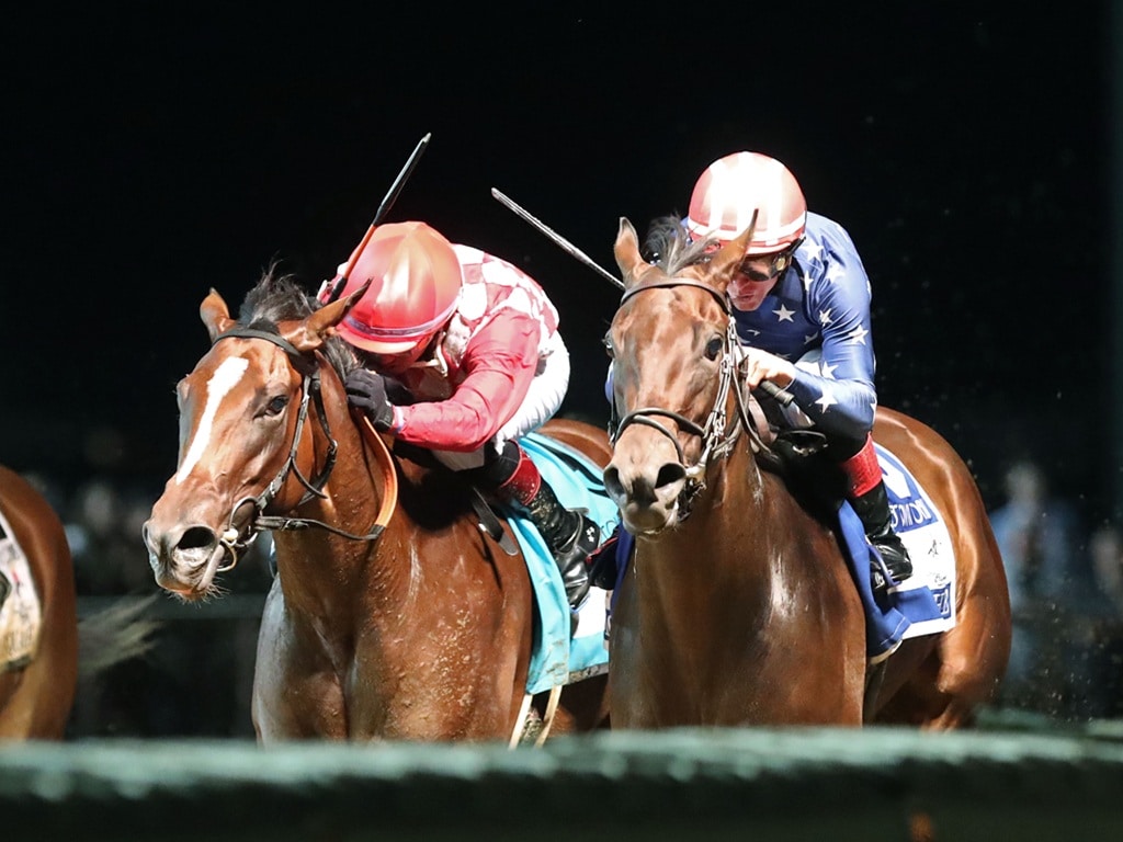 Niche (at right) out-duels At a Premium to win the Charles Town Oaks (G2) on Aug. 28, 2006 - Coady Media photo