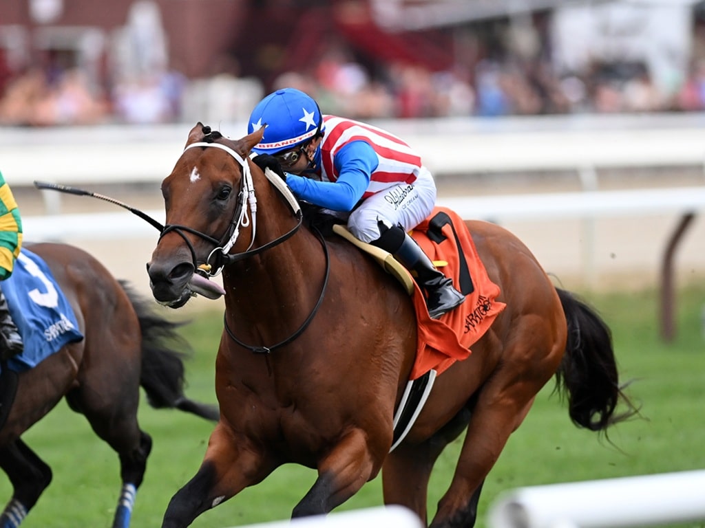 Stradale earns his first stakes victory in the G3 Mahony S. at Saratoga - Chelsea Durand/NYRA