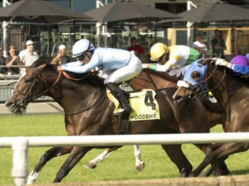 Tomasello powers to victory in the 2026 Singspiel S. (G3) - Woodbine photo