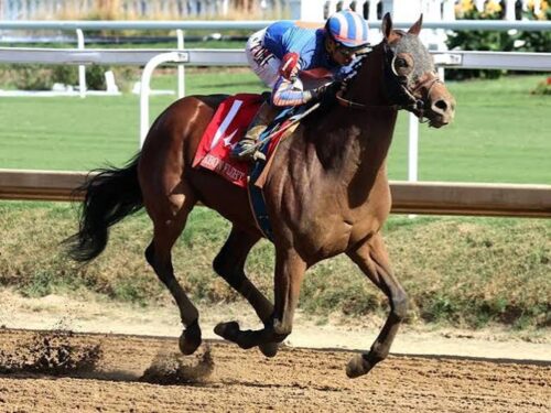Plutarch is much the best in the Bourbon Flight S. at Churchill Downs - Coady media