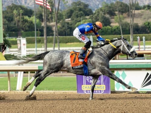 Forged Steel and jockey Edwin Gonzalez win the Grade I $300,000 Goodwood Stakes Saturday, September 26, 2026 at Santa Anita Park, Arcadia, CA. Benoit Photo