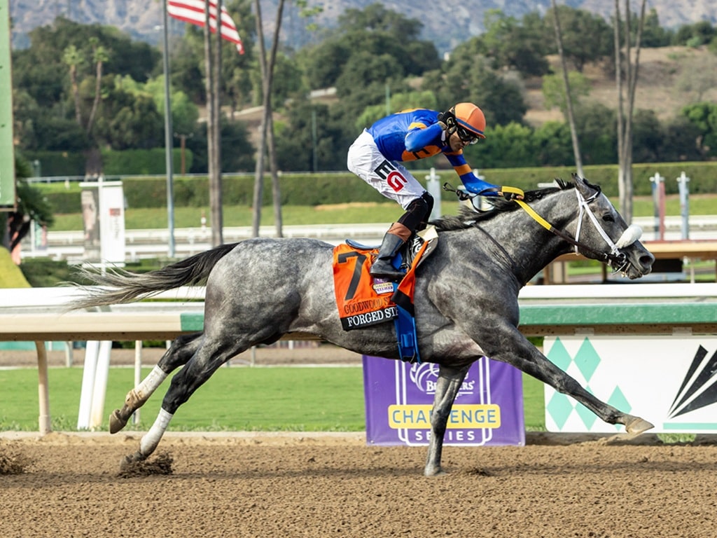 Forged Steel and jockey Edwin Gonzalez win the Grade I $300,000 Goodwood Stakes Saturday, September 26, 2026 at Santa Anita Park, Arcadia, CA. Benoit Photo
