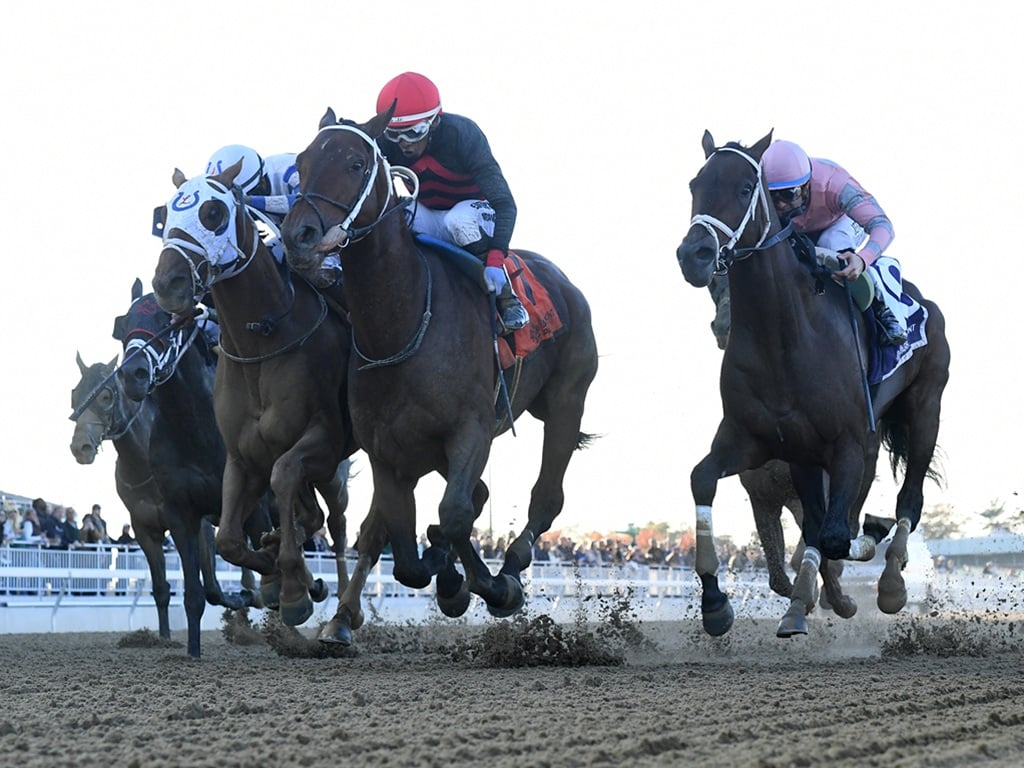 Iron Dome (middle, red cap), battles to victory in the $250,000 Empire Classic - NYRA photo