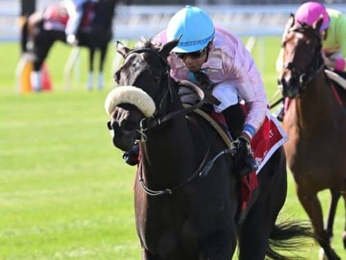 Brickyard Belle remains undefeated with her victory in the Matron S. (G3) at Belmont Park - Chelsea Durand/NYRA